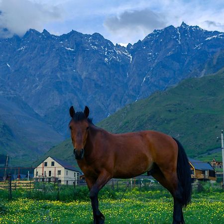 Savalley Kazbegi Extérieur photo