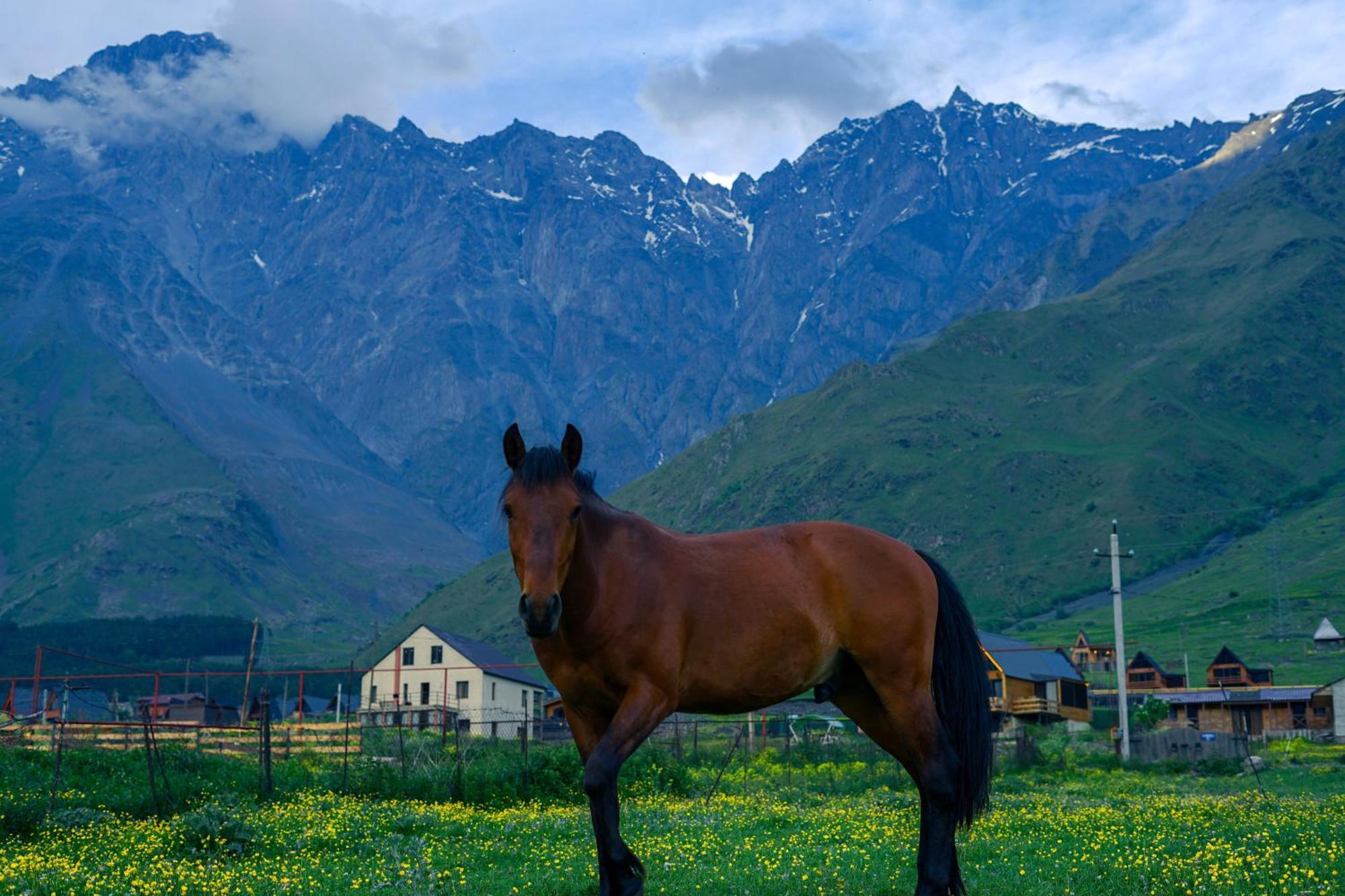 Savalley Kazbegi Extérieur photo
